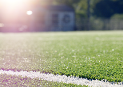 BCA field